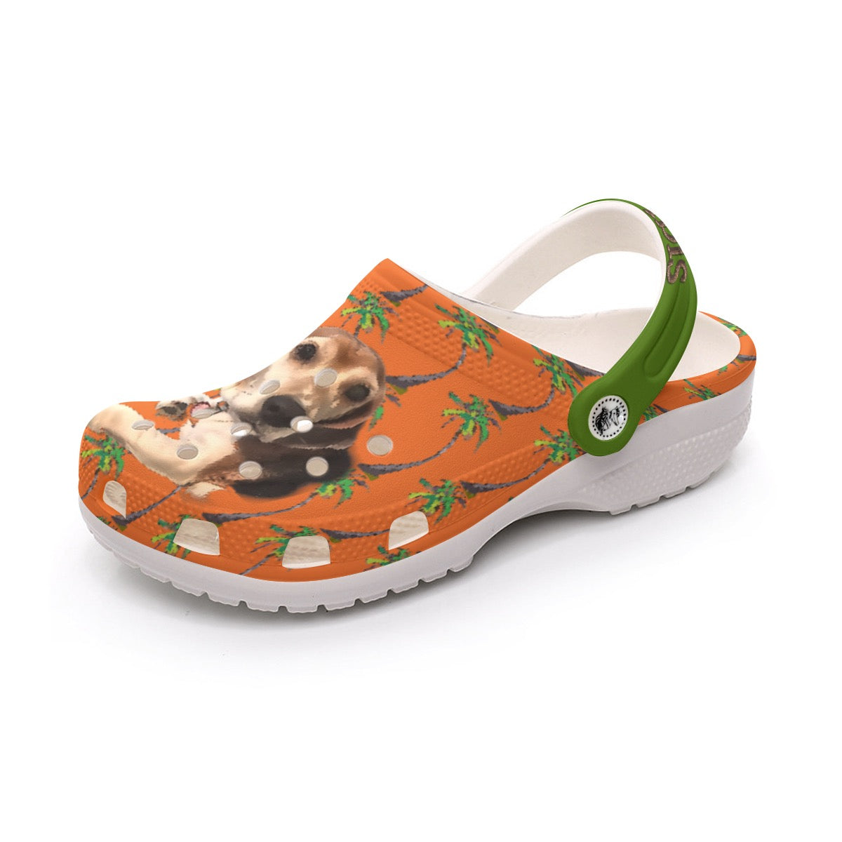 All-Over Print Men's Classic Clogs