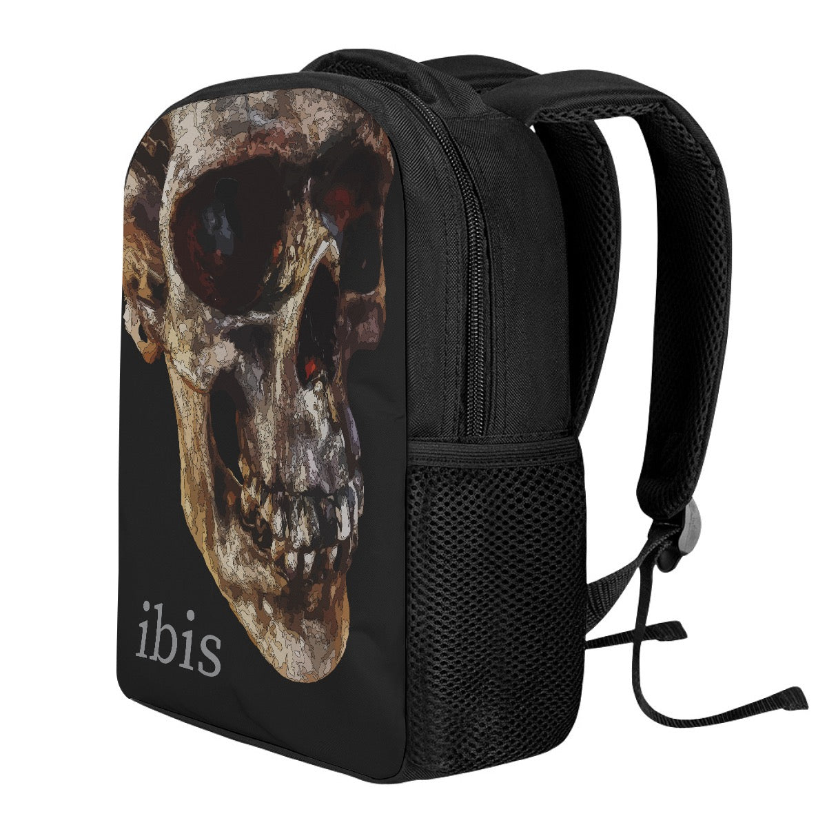 AiB Skull Cay 23261