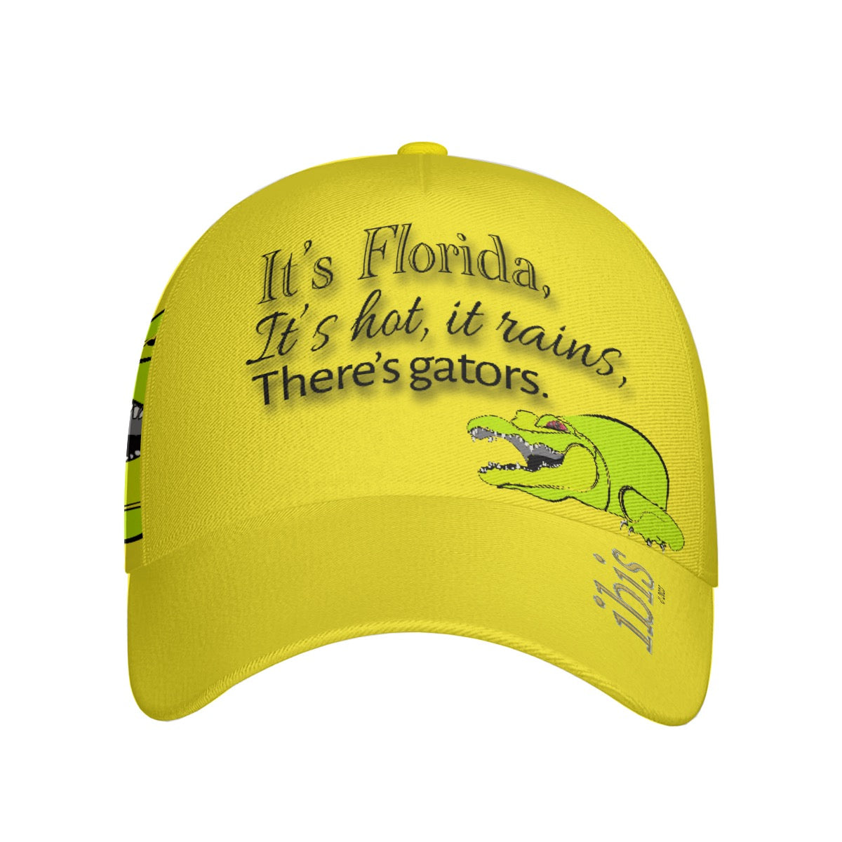 HiB There's Gators v1 23144
