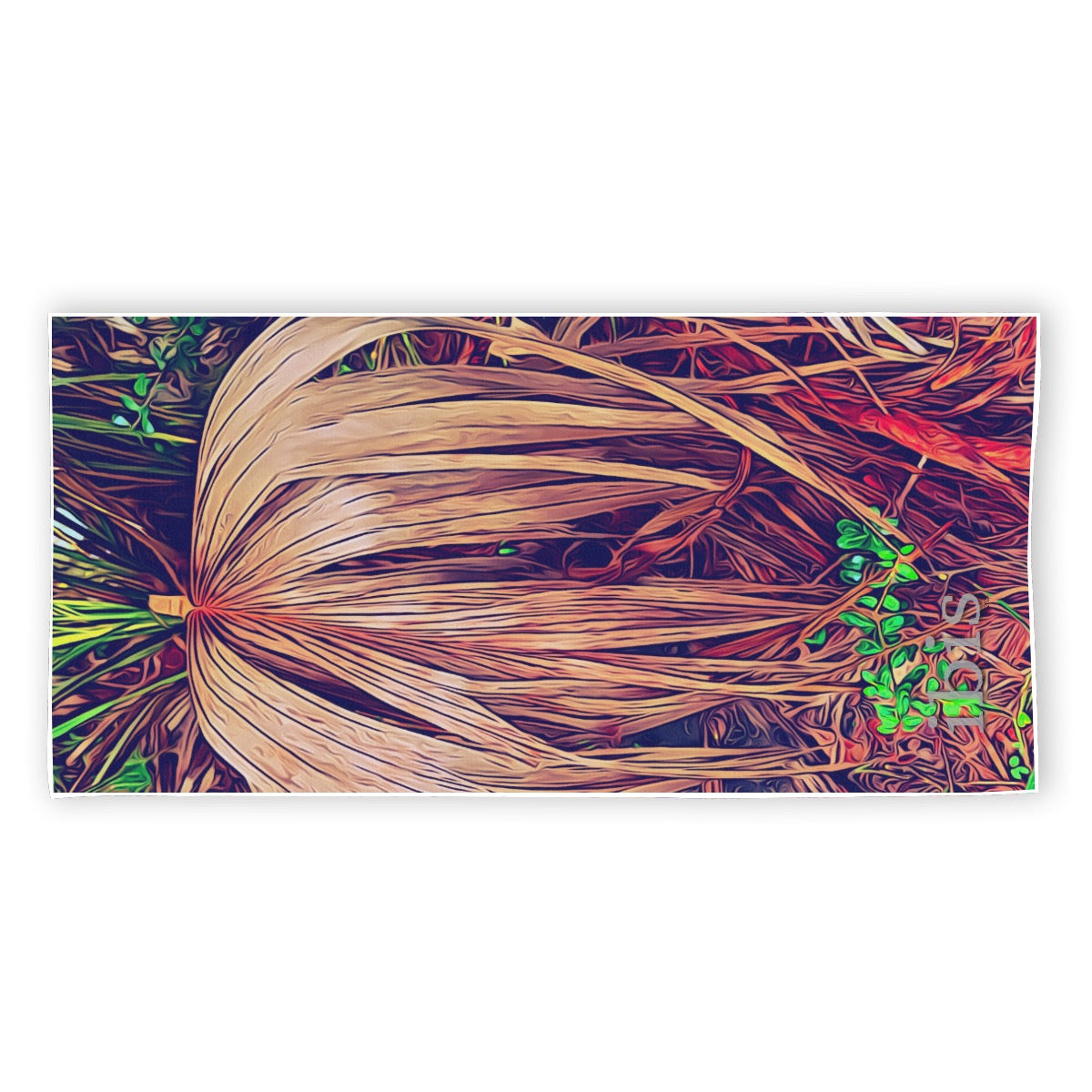 23274 Palm Coast Beach Towel
