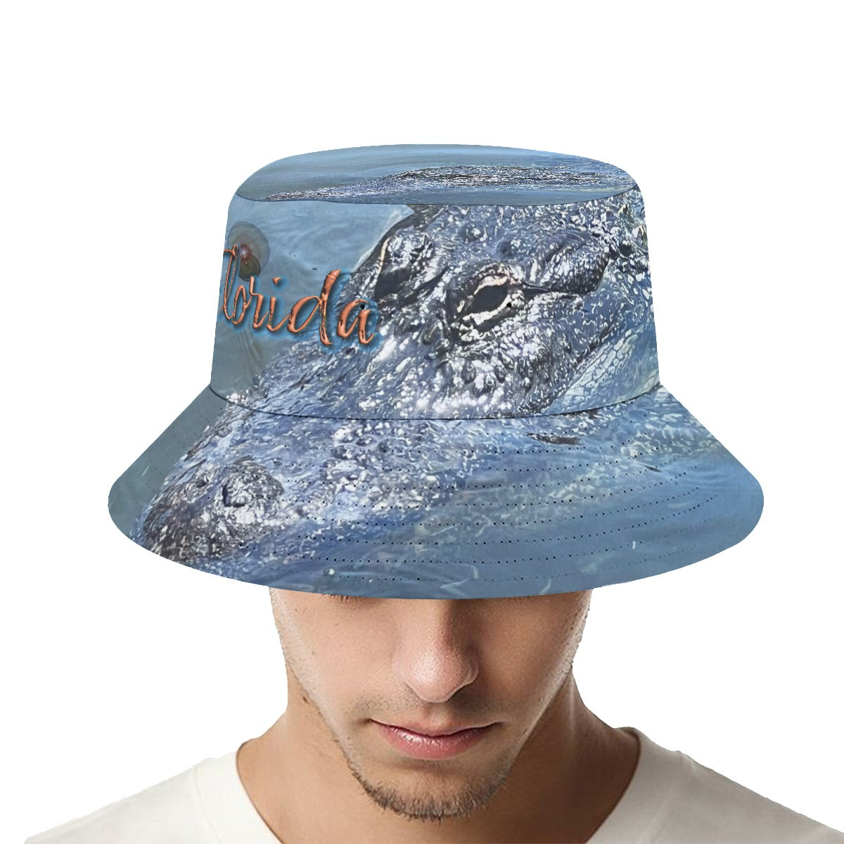 HiB Gator Gator 2351